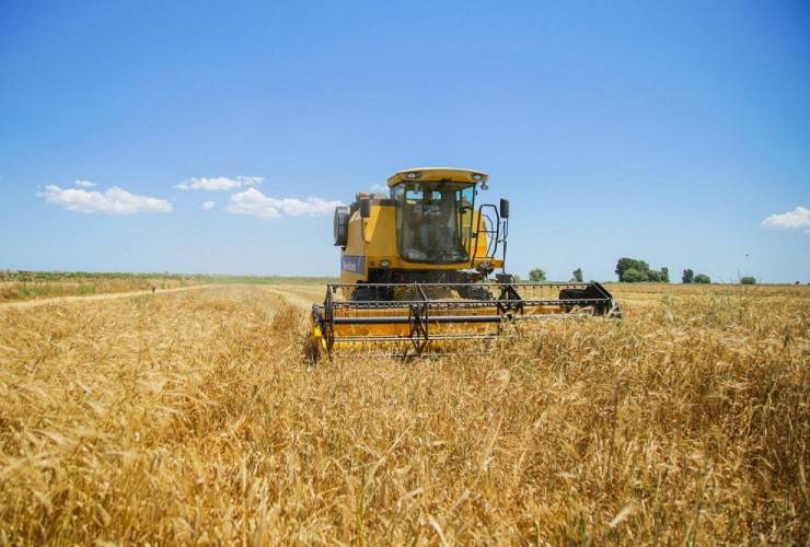 Azərbaycanın bu qədər taxıl ehtiyatı var