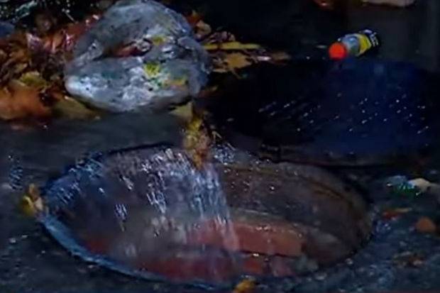 Gəncə küçələrini “bəzəyən” Xan arxı - VİDEO