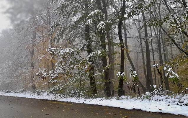 Sabahın hava PROQNOZU