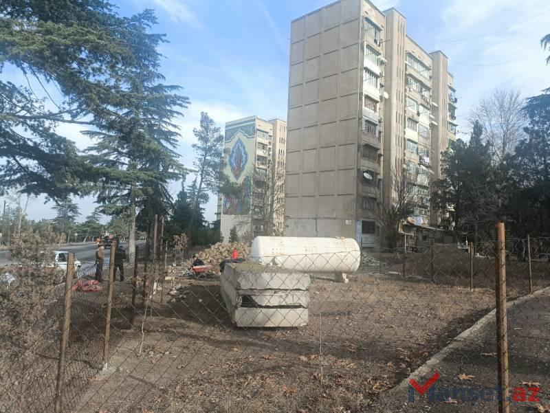 Gəncədə Heydər Əliyevin saldırdığı yaşayış massivində yaşıllıqlar məhv edilir - Obyekt tikmək üçün (FOTOLAR)