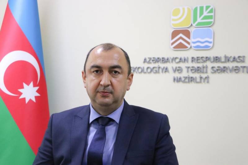 Payız-qış mövsümündə əkilən ağacların bitiş faizi daha yüksək olur - FOTOLAR