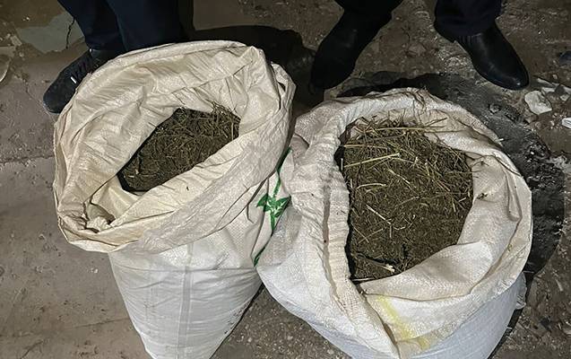 Bakı sakinindən 20 kiloqrama yaxın marixuana aşkarlandı