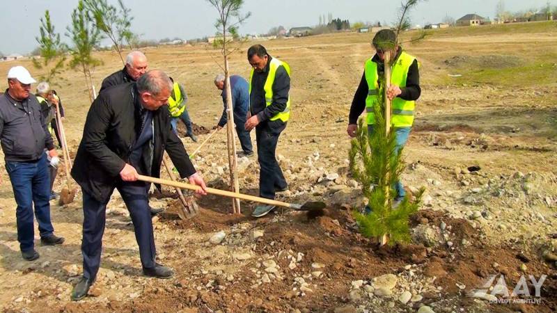 “Heydər Əliyev İli” çərçivəsində növbəti ağacəkmə aksiyası keçirilib - VİDEO/FOTO