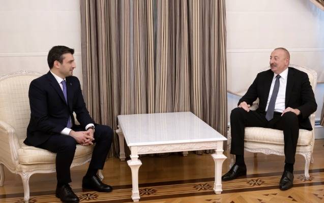 Prezident Selçuk Bayraktarı qəbul etdi