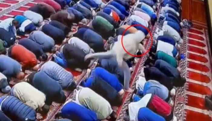 İmam namaz qılarkən bıçaqlandı - VİDEO
