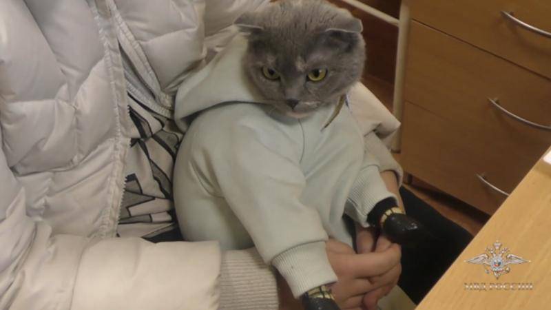 Pişiyin paltarından külli miqdarda narkotik tapıldı - FOTO
