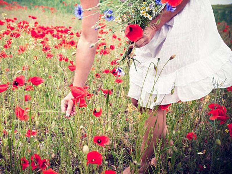 Azərbaycanda hansı gülləri dərmək olmaz, cəriməsi nədir? 