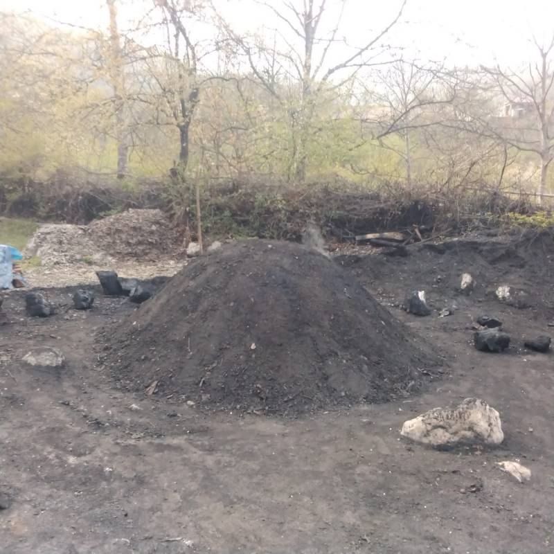 Ölkə ərazisində qanunsuz kömür istehsal edən 2 quyu ləğv olundu - FOTO