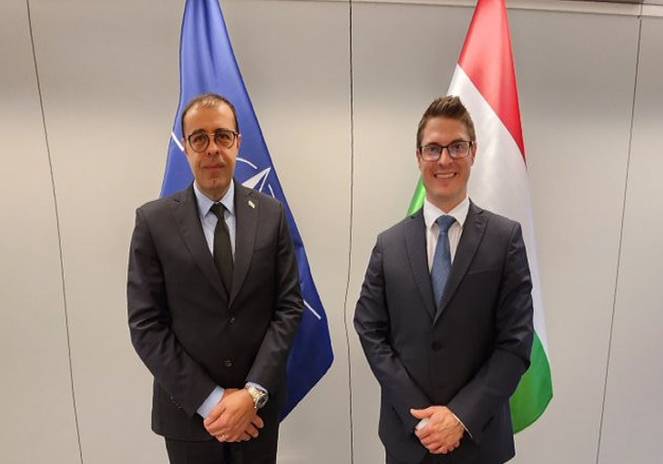 Azərbaycan və Macarıstan səfirləri görüşdü