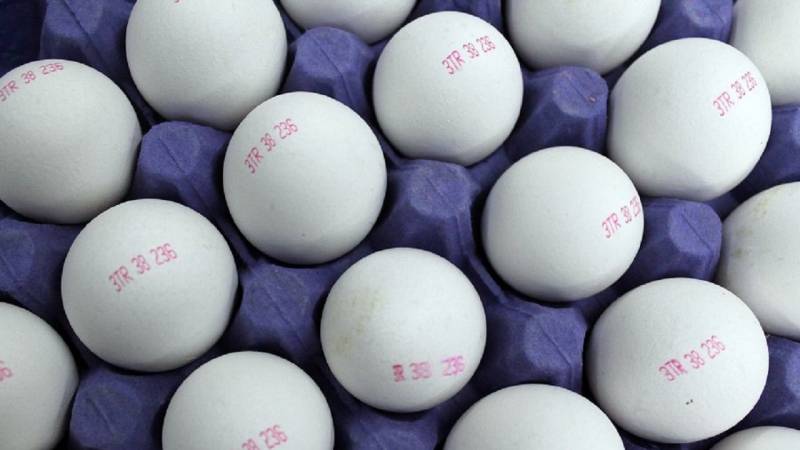 Yumurtalar niyə kodlaşdırılır? - VİDEO