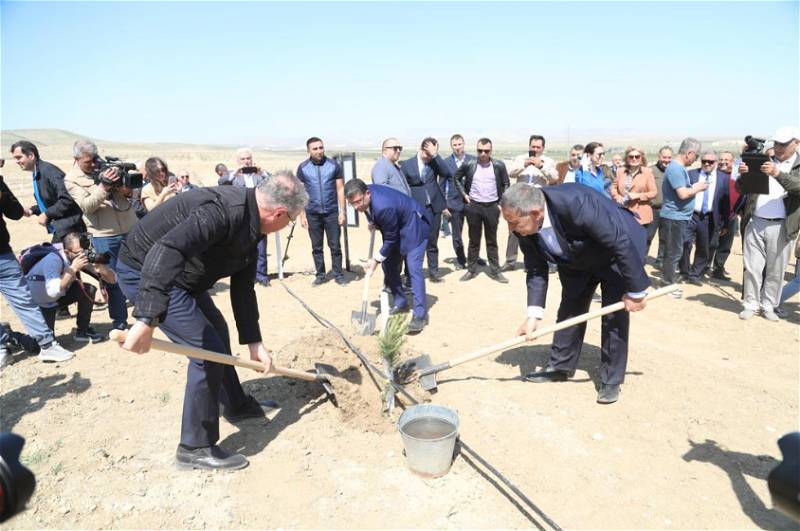 Ulu Öndərin 100 illik yubileyi ilə əlaqədar ağacəkmə tədbirinə media qurumları da qoşulublar - FOTO