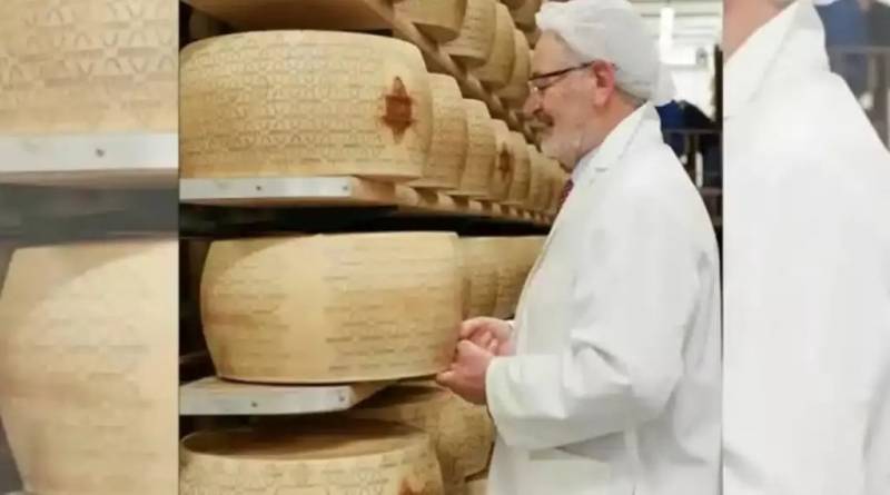Pendir çarxları altında dəhşətli ölüm: cəsədi 12 saat sonra tapıldı