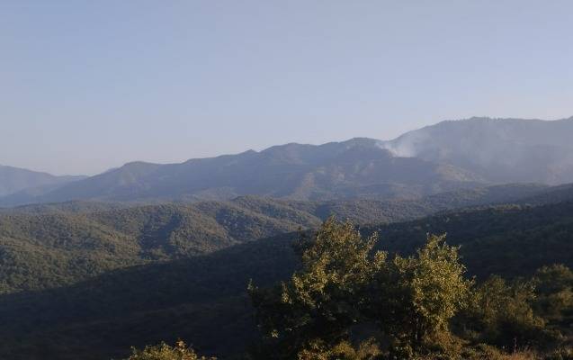 Cəlilabadda qəsdən yanğın törədildi