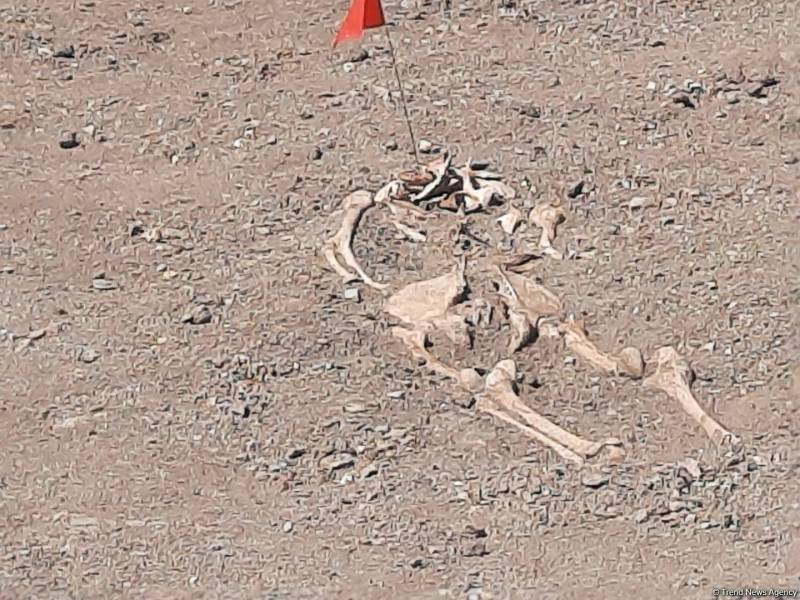 Şuşada növbəti kütləvi məzarlıq aşkarlandı - FOTOLAR