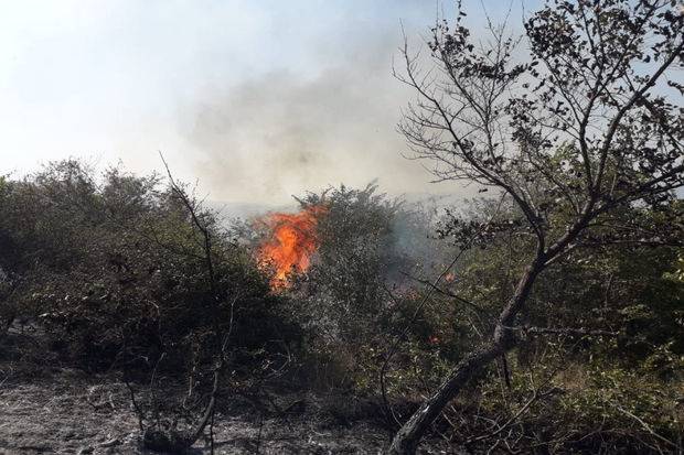 Ağsuda yanğıntörətmə faktının üstü açılıb