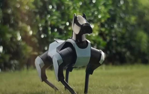 Çinin yeni robot iti... - Yeriyir, skeytbord sürür