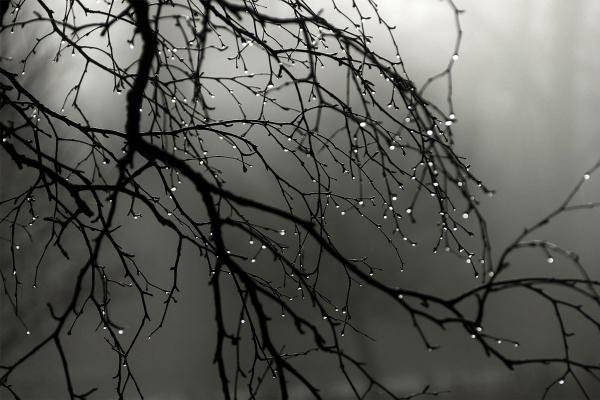 Bu tarixdən hava kəskin dəyişəcək - XƏBƏRDARLIQ