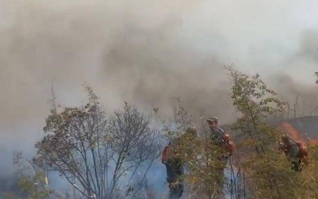 Dağlıq ərazidə yanğın oldu - VİDEO