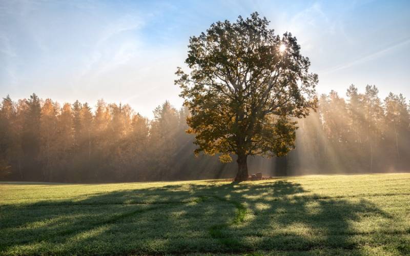 Ölkə ərazisində faktiki hava AÇIQLANDI
