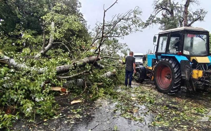 Yevlax-Zaqatala-Gürcüstan avtomobil yolunun bir hissəsindəki problem aradan qaldırılıb - VİDEO