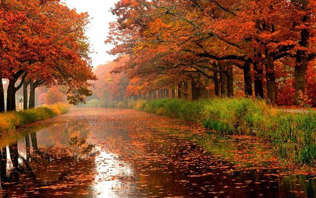 Sabah yağış yağacaq - PROQNOZ