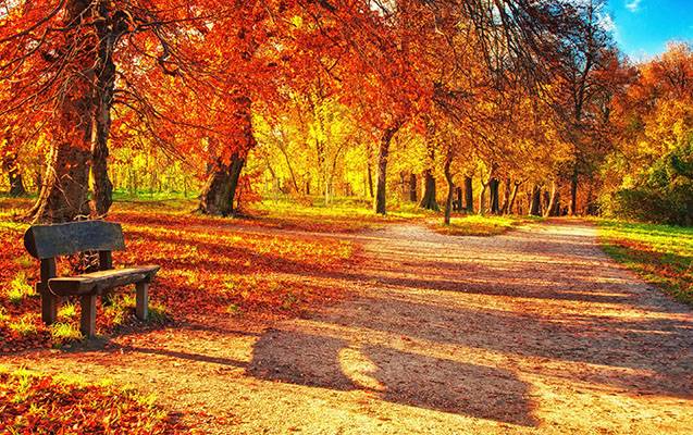 Son günlər hava niyə isti keçir? 