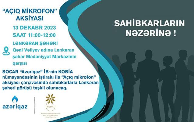 Sahibkarlarla növbəti görüş Lənkəranda keçiriləcək