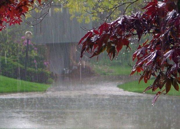 Bakıya palçıqlı yağış yağmasının səbəbləri AÇIQLANDI