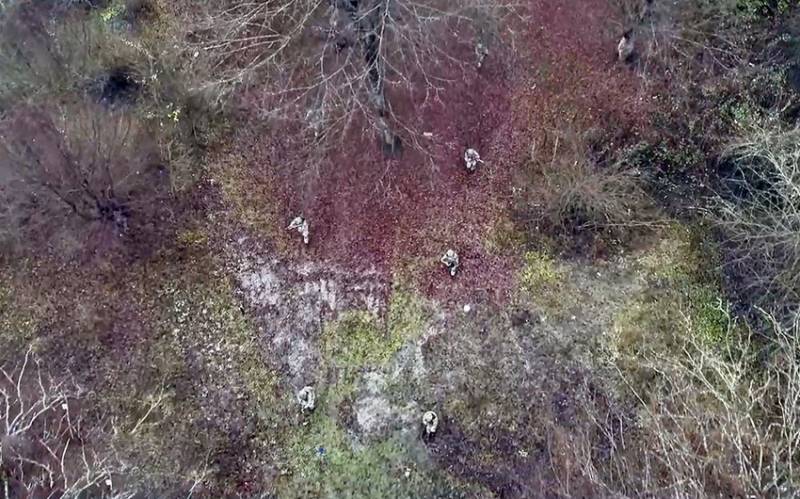 Müdafiə Nazirliyi həftəlik icmalını təqdim etdi - VİDEO