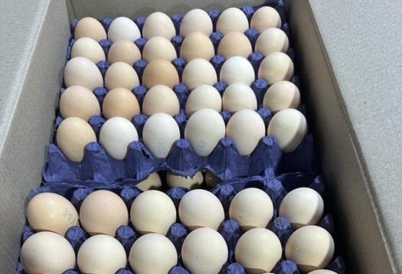 Azərbaycandan Rusiyaya 36 ton yumurta göndərilib