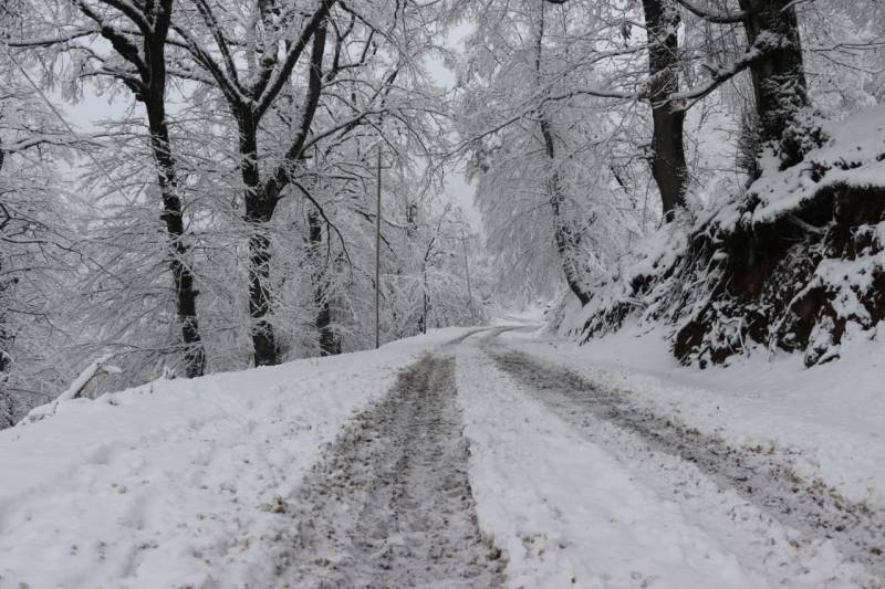 Milli parkların qış mənzərəsi - FOTO