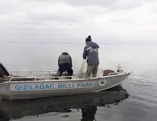 Qanunsuz ov hallarının qarşı nəzarət tədbirləri keçirildi - FOTOLAR