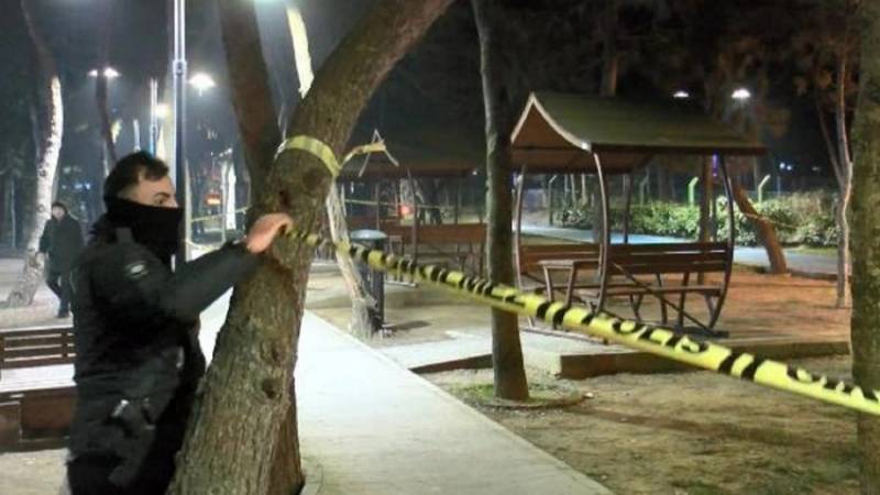 Parkda dəhşət: 4 nəfər yaralandı