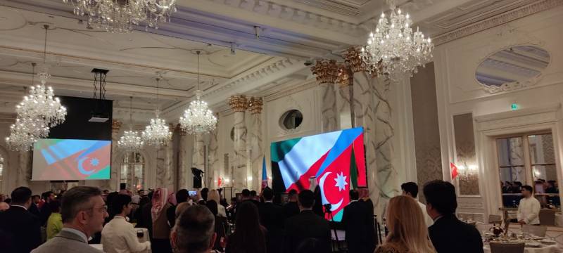 Azərbaycan və Küveyt işğaldan əziyyət çəkib - Nazir müavini