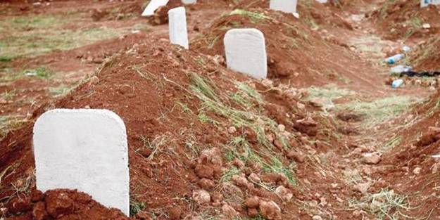 Məktəb bağçasında 17 qəbir tapıldı