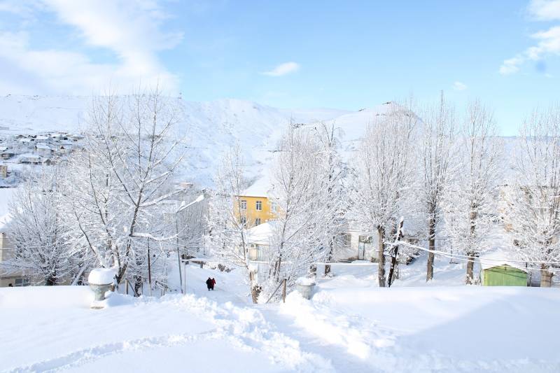 Daşkəsənə güclü qar yağıb - FOTOLAR