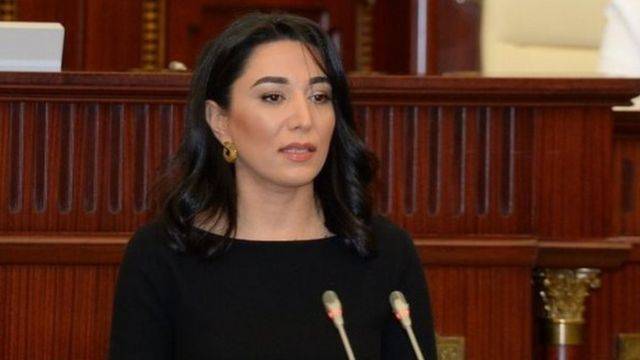 Ombudsman 2022-ci il üzrə məruzəsini təqdim etdi