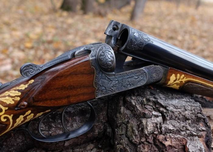 Naxçıvan sakinindən qanunsuz ov silahı götürülüb