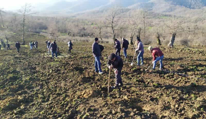Bayram günlərində meşə fondu torpaqlarında 25 min ağac əkildi - FOTO