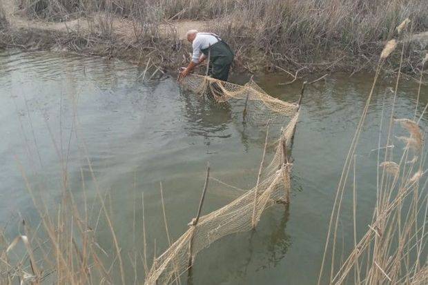 Qanunsuz ov edən şəxslər cəzalandırıldı - FOTOLAR