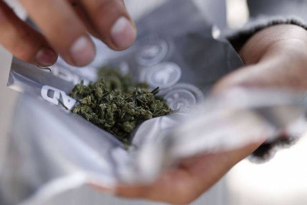 Keçmiş məhkumlardan 2 kiloqram marixuana götürüldü - FOTO