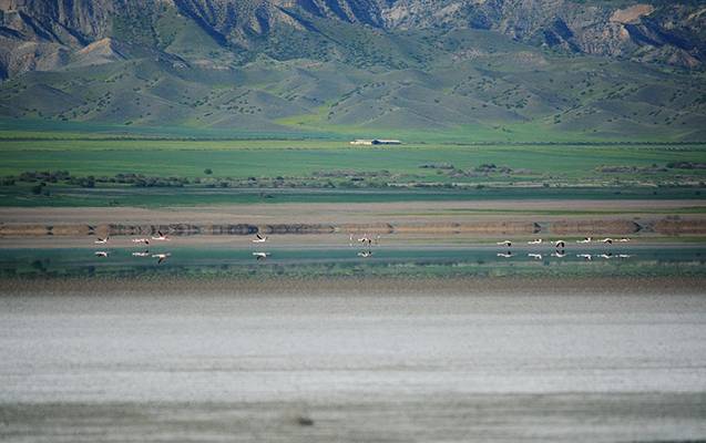 Yeni Milli Park yaradılması nəzərdə tutulur