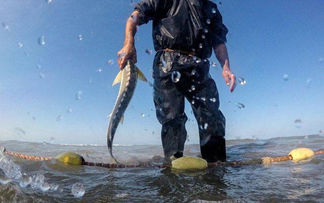 Qanunsuz ov edən 12 nəfər SAXLANILDI