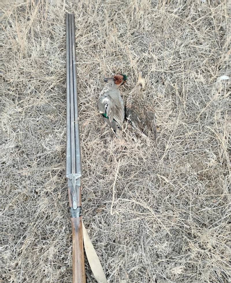 Ovçuluq təsərrüfatının ərazisində qanunsuz ov edən şəxs CƏZALANDIRILDI