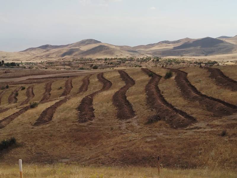 \"Dostluq Meşəsi\"ndə və ətrafdakı yamaclarda bugünədək 50 minə yaxın ağac əkilib - FOTOLAR