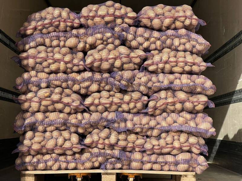 İrandan gətirilən 71 ton kartofda zərərli orqanizm aşkarlandı