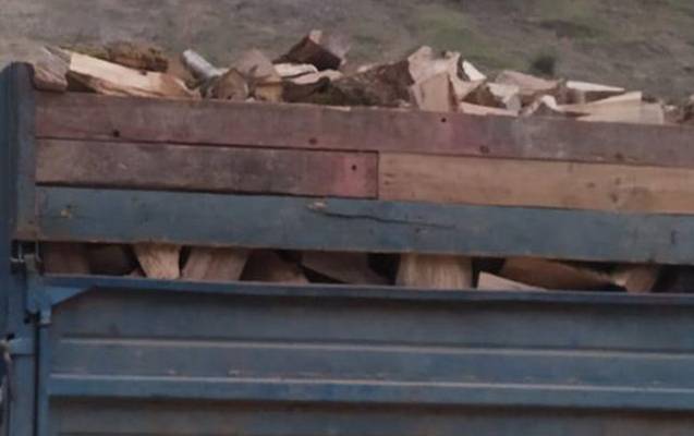 Qanunsuz daşınan meşə materialları bağlı araşdırma aparılır