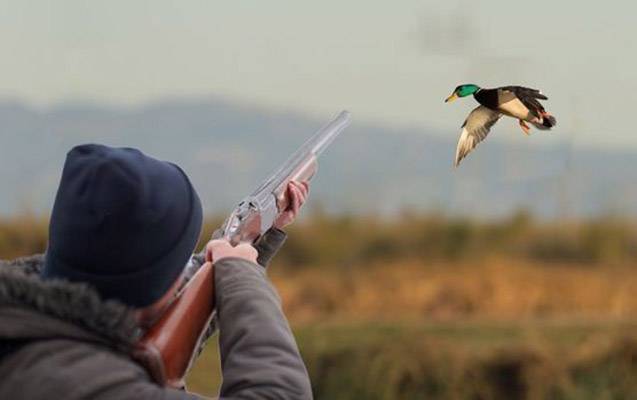 Qanunsuz ov edən şəxslər cəzalandırıldı - FOTO