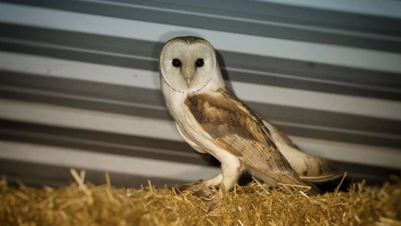 Fermerlər görün nə tapdı - FOTO