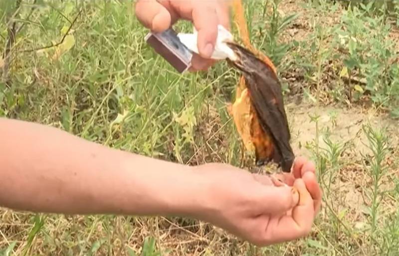 Ceyranbatanda sakinin həyətindən neft fontan vurdu - VİDEO